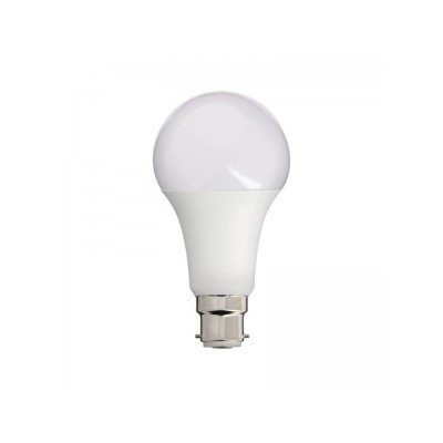 LAMPE LED ECONIS 13W B22