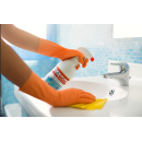 RENOVATEUR SANITAIRE 500ml